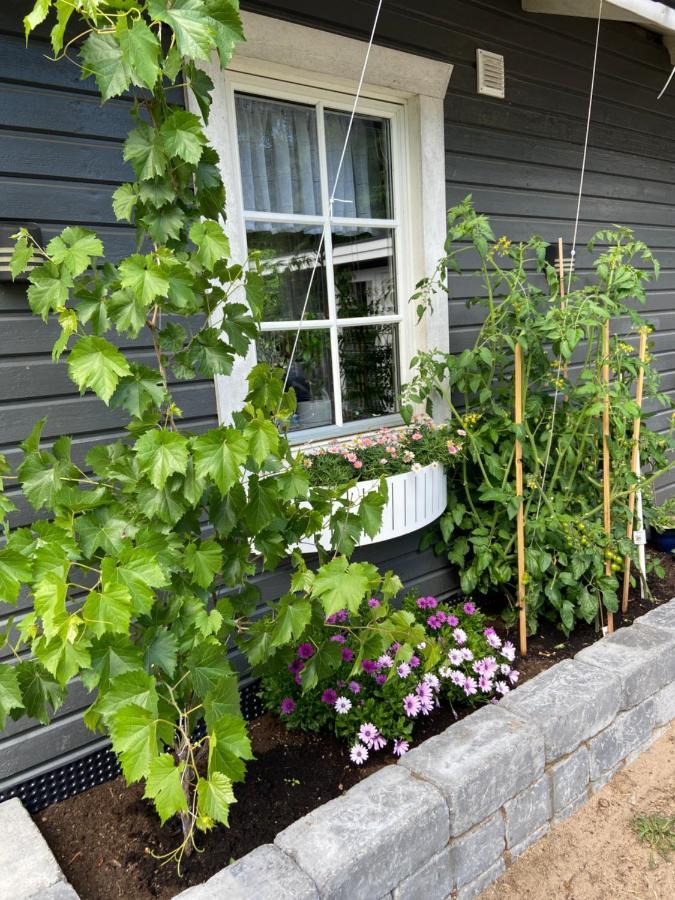Stuga på Öland Algutsrum Exteriör bild